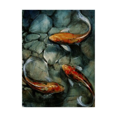 Trademark Fine Art Tim Otoole 'Tres Koi I' Canvas Art, 24x32 WAG00940-C2432GG